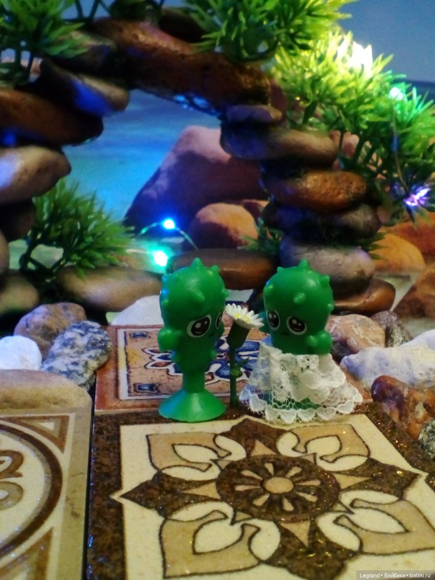 Сказки Соланж. Лесные друзья в Катаре. Пляж. Кактус: романтическое знакомство