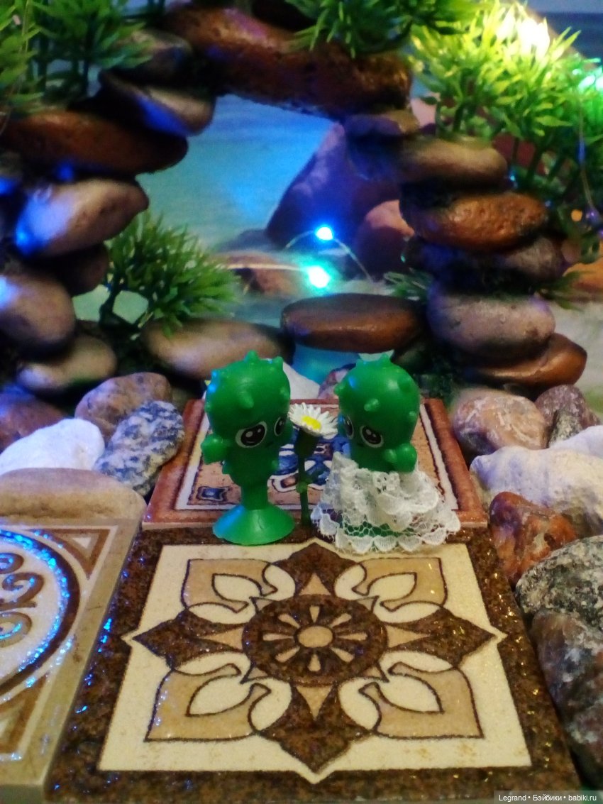 Сказки Соланж. Лесные друзья в Катаре. Пляж. Кактус: романтическое знакомство