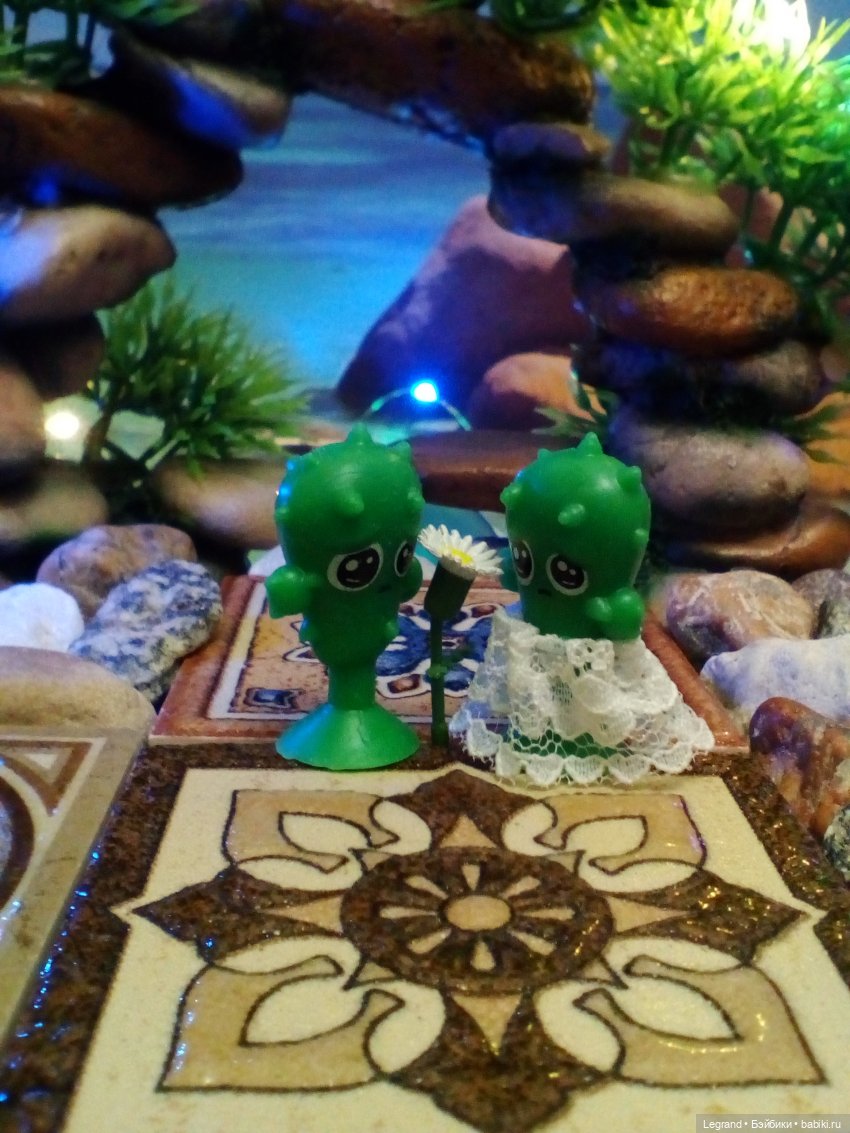 Сказки Соланж. Лесные друзья в Катаре. Пляж. Кактус: романтическое знакомство