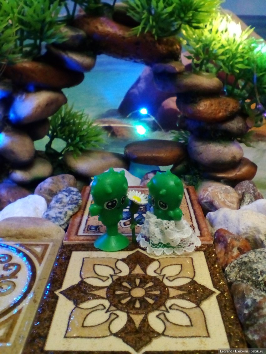 Сказки Соланж. Лесные друзья в Катаре. Пляж. Кактус: романтическое знакомство