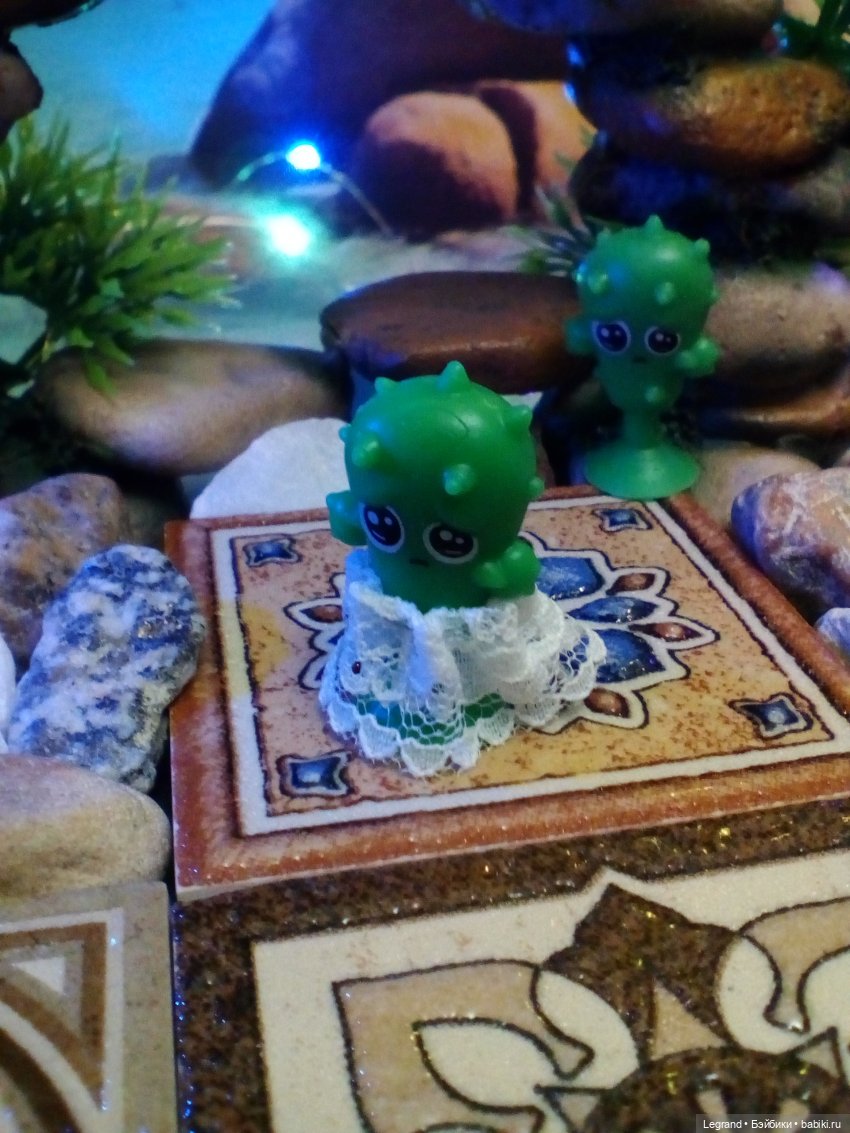 Сказки Соланж. Лесные друзья в Катаре. Пляж. Кактус: романтическое знакомство