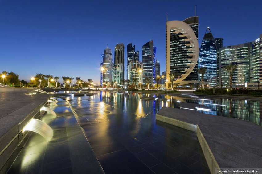 Сказки Соланж. Лесные друзья в Катаре. Пляж. Кактус: романтическое знакомство