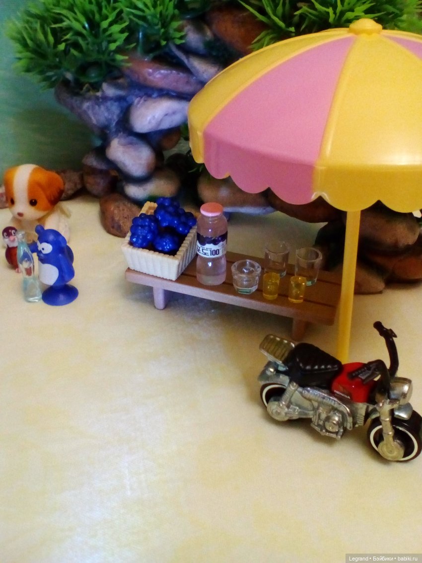 Сказки Соланж. Лесные друзья в Катаре. Пляж. Кактус: романтическое знакомство (фото 7)