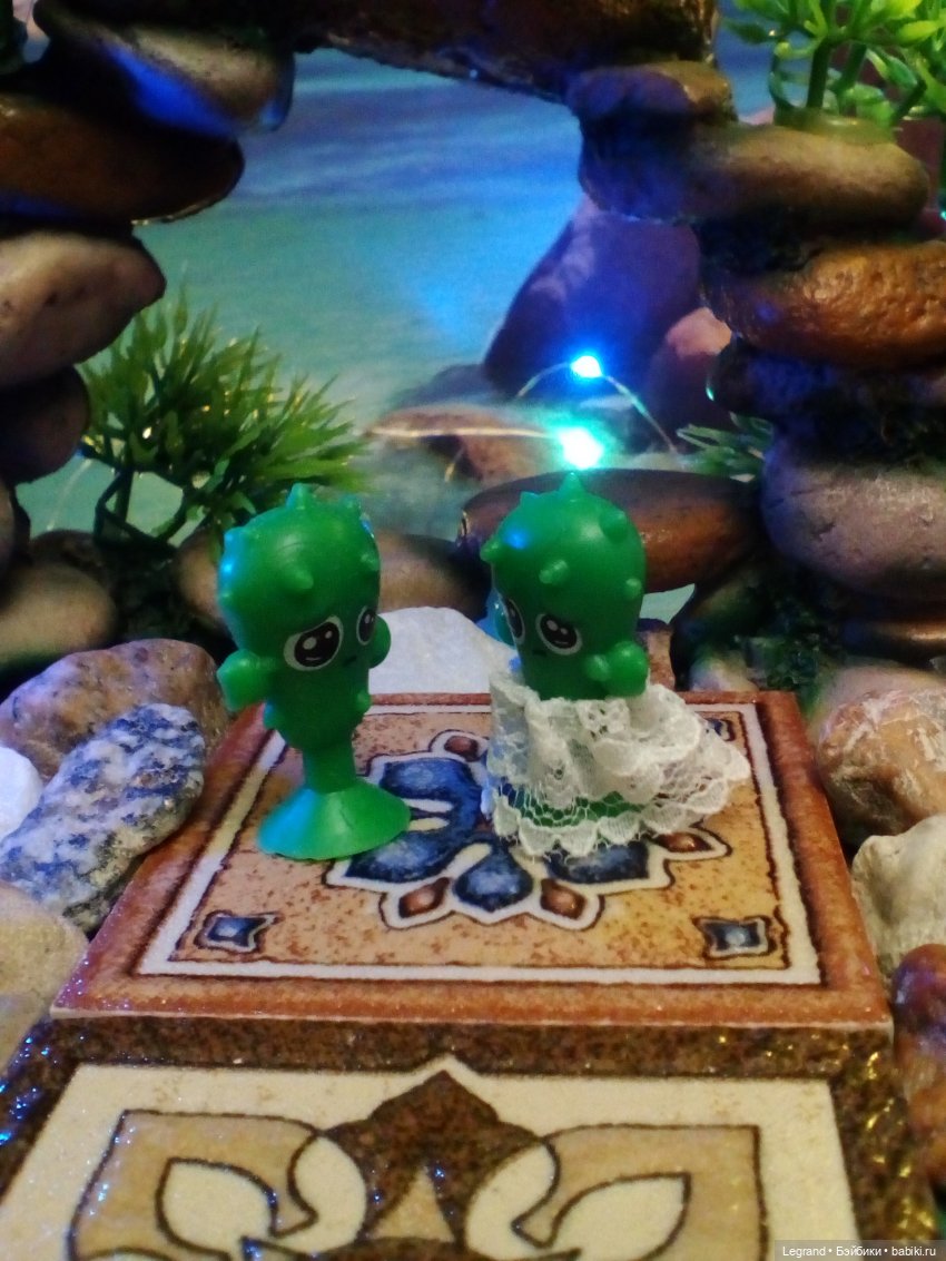 Сказки Соланж. Лесные друзья в Катаре. Пляж. Кактус: романтическое знакомство