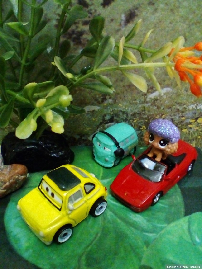 Сказки Соланж. Кактус: история любви. Вопросы и сомнения