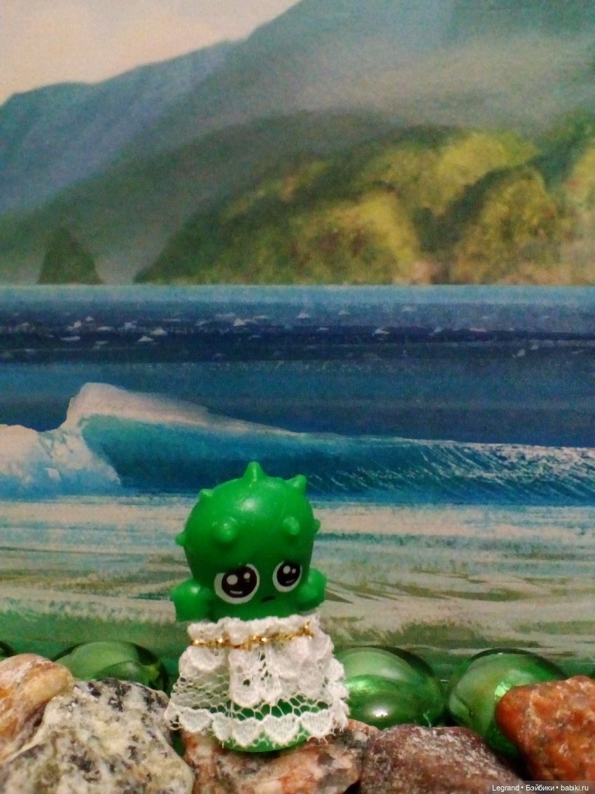 Сказки Соланж. Кактус: история любви. Вопросы и сомнения