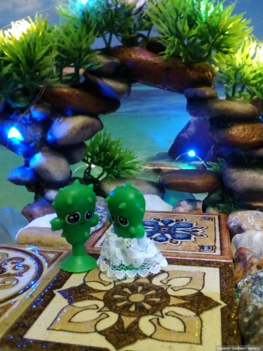 Сказки Соланж. Кактус: история любви. Вопросы и сомнения