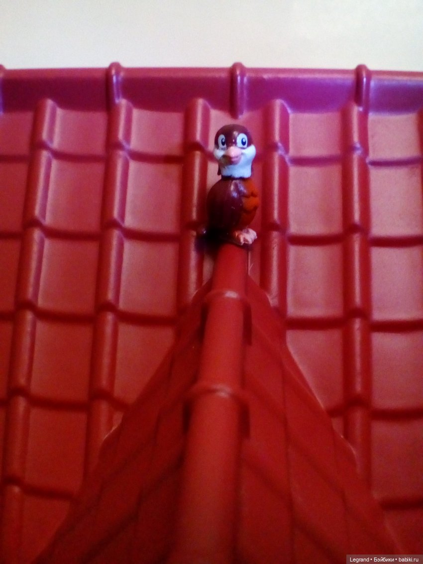 Сказки Соланж. Кактус: история любви. Строительство отеля