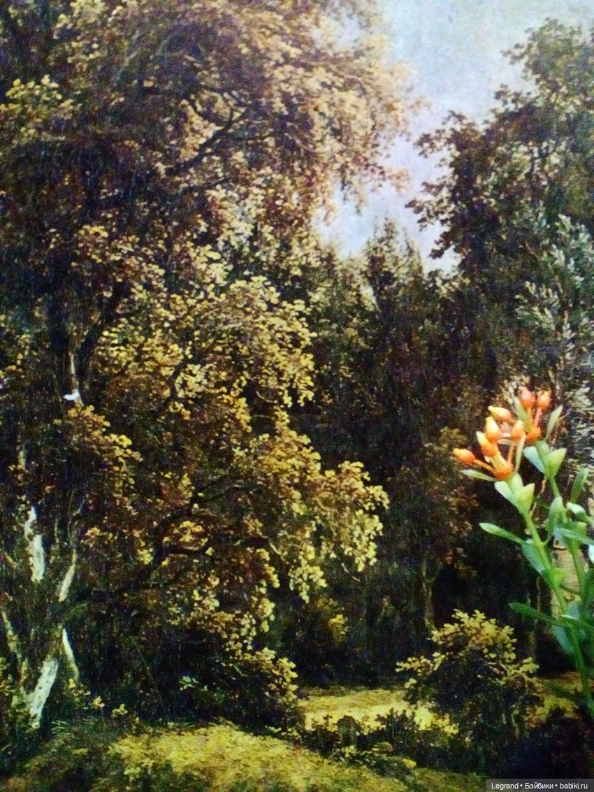 Сказки Соланж. Кактус: история любви. Строительство отеля