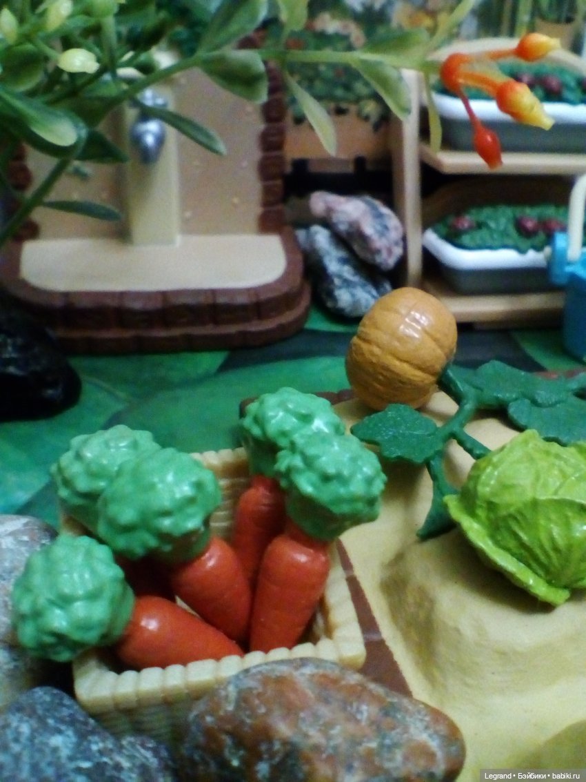 Сказки Соланж. Кактус: история любви. Большие надежды и наполеоновские планы