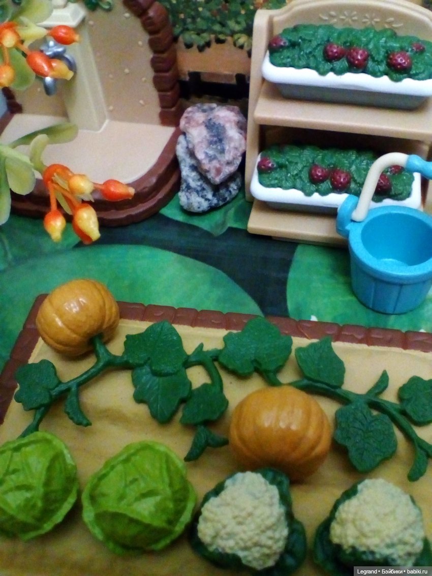 Сказки Соланж. Кактус: история любви. Большие надежды и наполеоновские планы