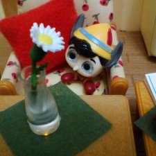 Сказки Соланж. Кактус: история любви. Интерьер отеля