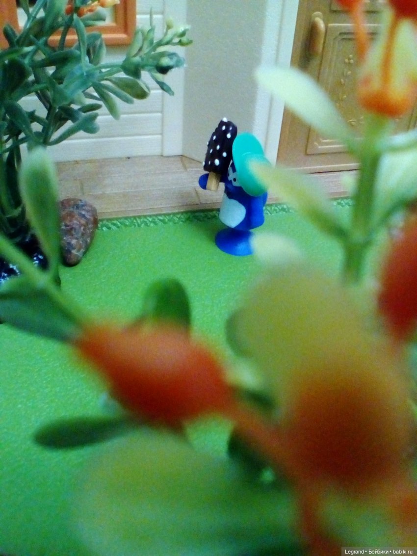 Сказки Соланж. Кактус: история любви. Незадолго до приезда Сахары