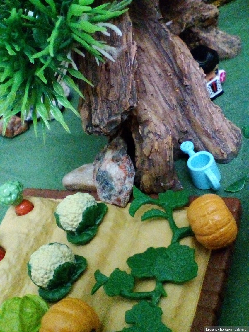 Сказки Соланж. Кактус: история любви. Незадолго до приезда Сахары