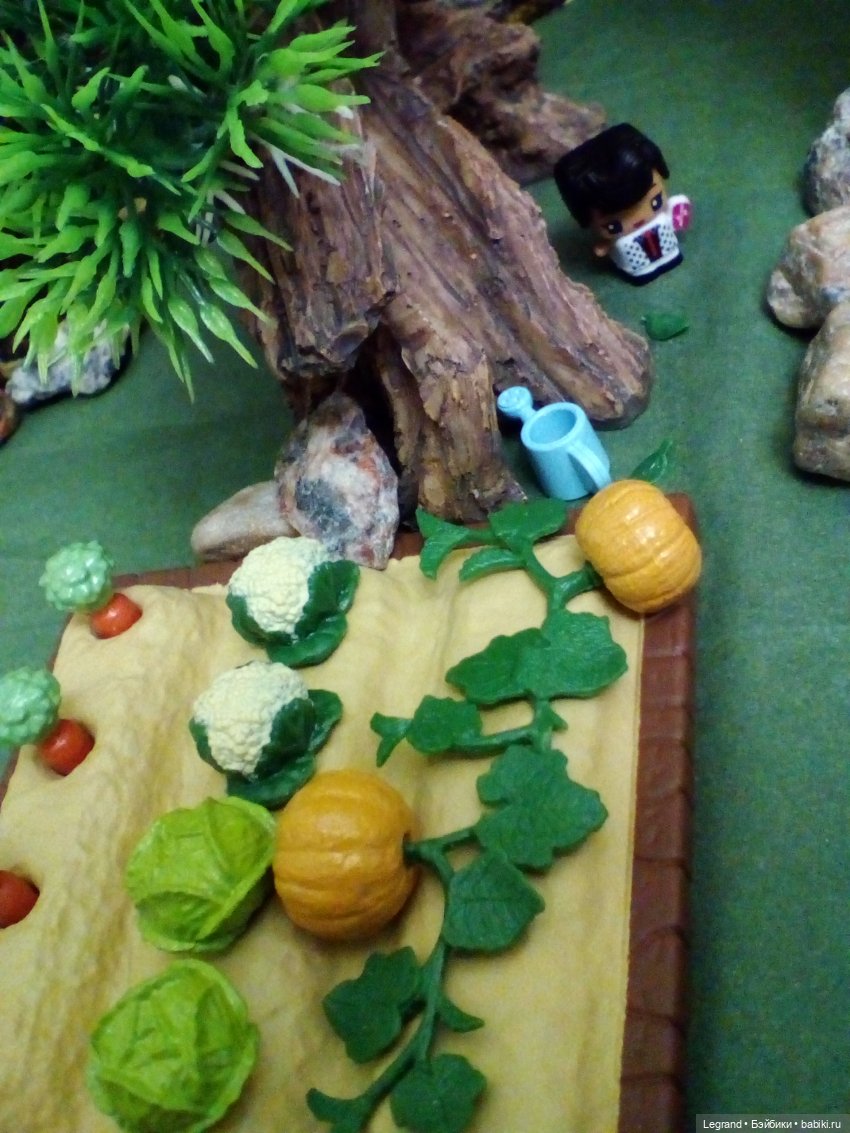 Сказки Соланж. Кактус: история любви. Незадолго до приезда Сахары