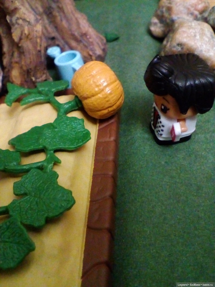 Сказки Соланж. Кактус: история любви. Незадолго до приезда Сахары