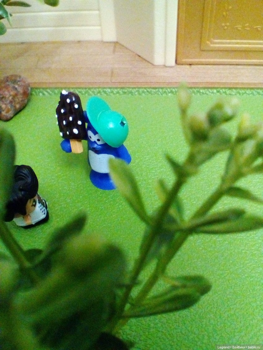 Сказки Соланж. Кактус: история любви. Незадолго до приезда Сахары