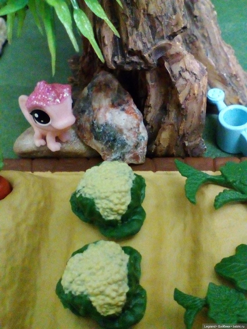 Сказки Соланж. Кактус: история любви. Отель. Начало рабочего дня