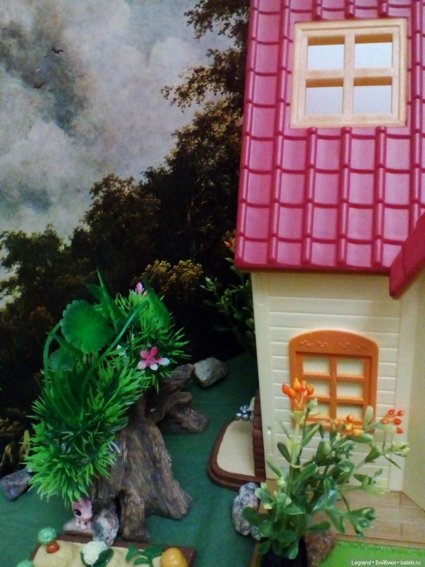 Сказки Соланж. Кактус: история любви. В ожидании Сахары. Генеральная уборка в отеле