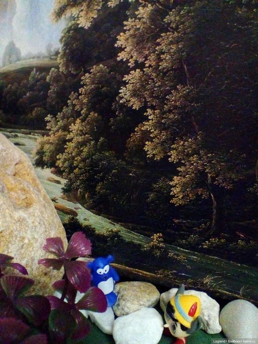 Сказки Соланж. Кактус: история любви. Сахара и поездка к вопопадам