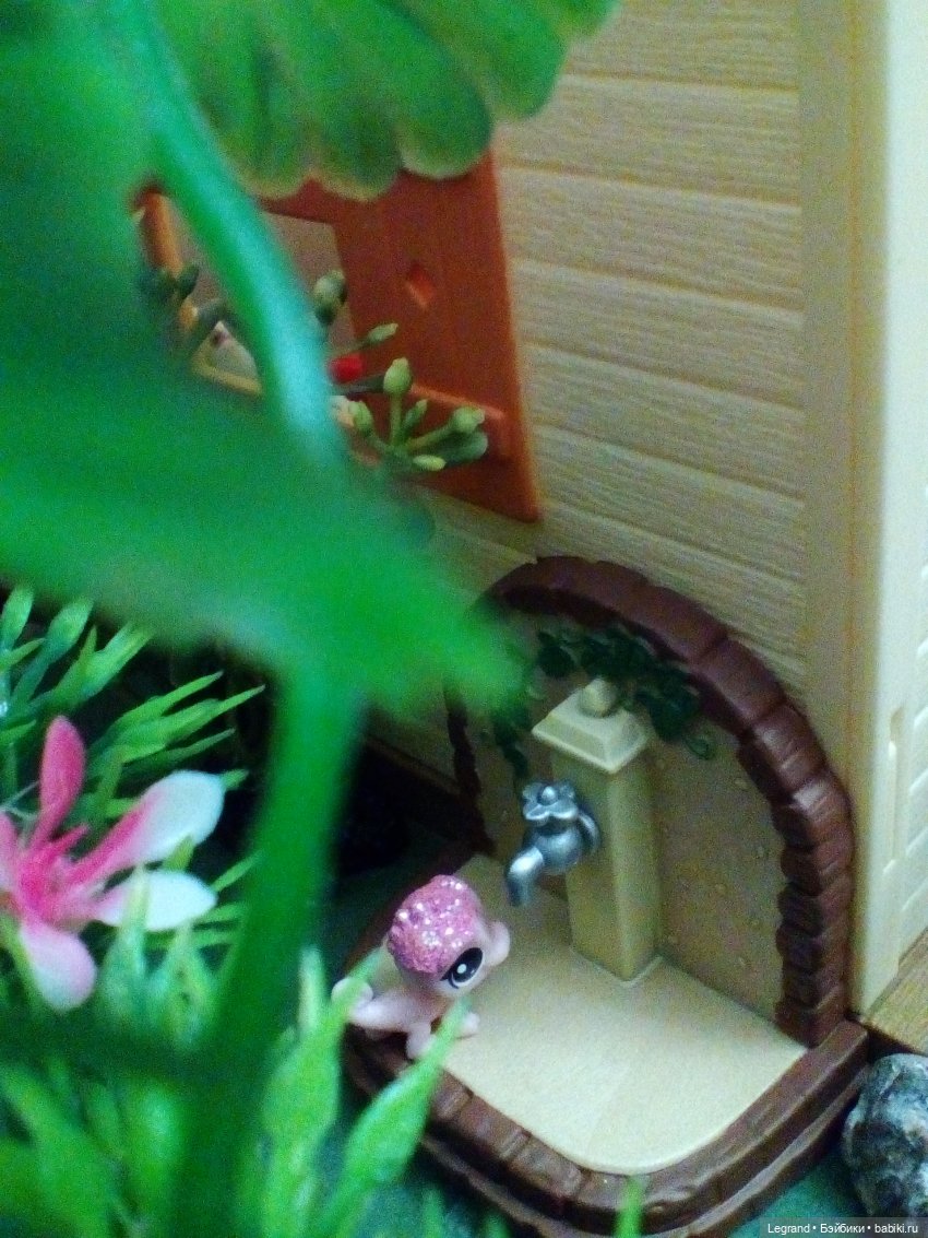 Сказки Соланж. Кактус: история любви. Сахара и поездка к вопопадам