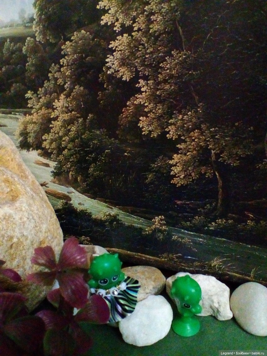 Сказки Соланж. Кактус: история любви. Сахара и поездка к вопопадам