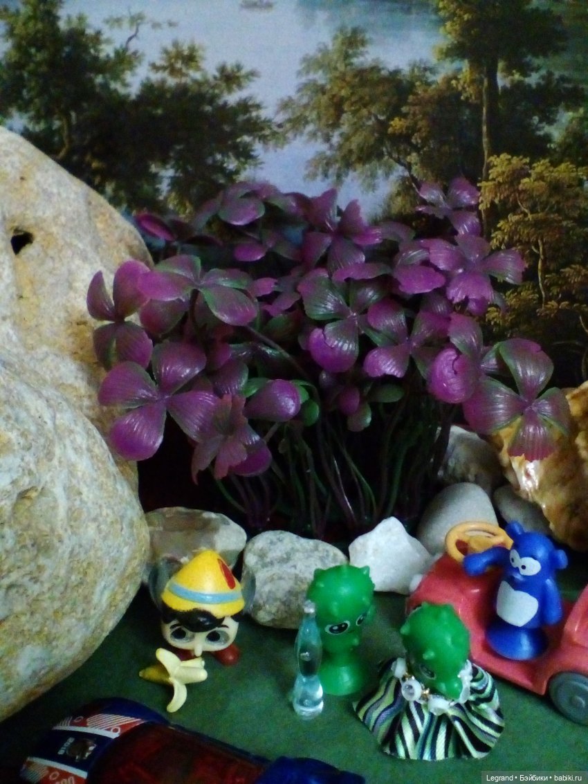 Сказки Соланж. Кактус: история любви. Сахара и поездка к вопопадам