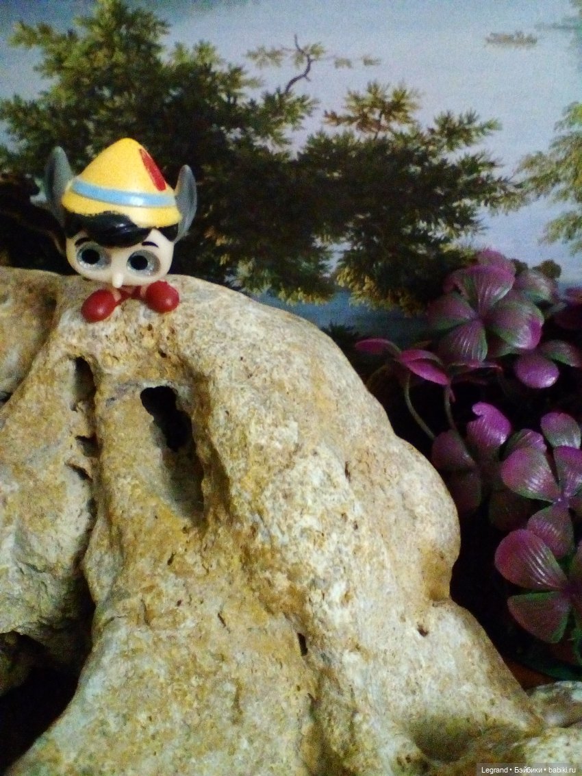 Сказки Соланж. Кактус: история любви. Сахара и поездка к вопопадам