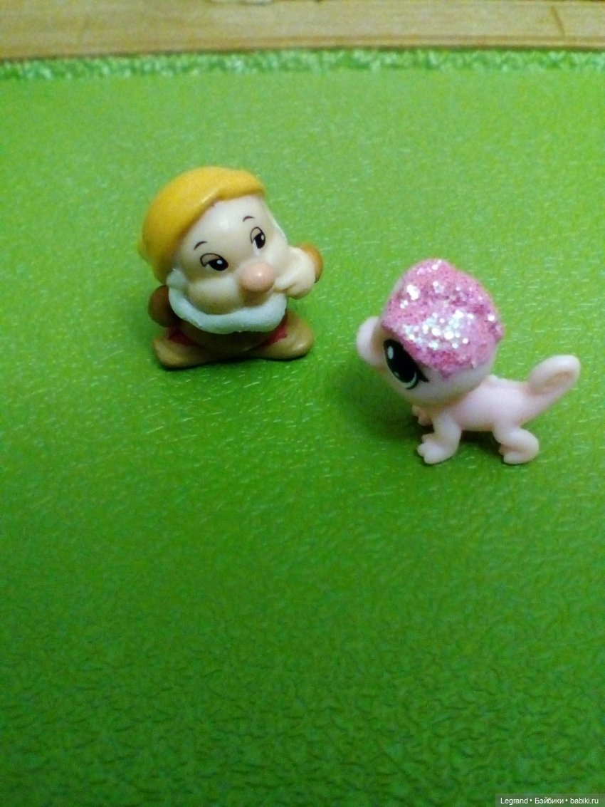 Сказки Соланж. Кактус: история любви. Сахара и поездка к вопопадам