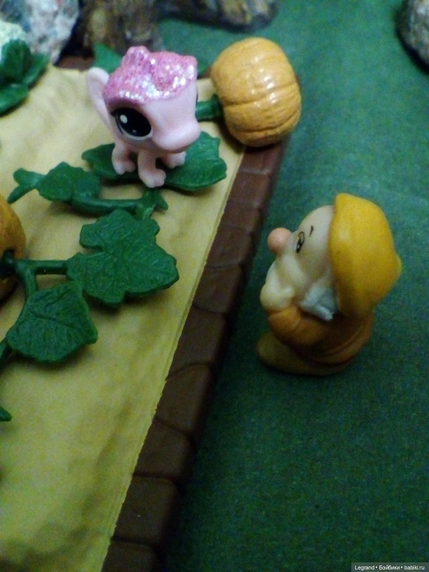 Сказки Соланж. Кактус: история любви. Сахара и поездка к вопопадам