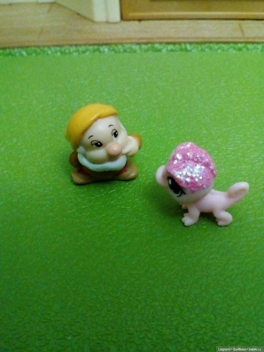 Сказки Соланж. Кактус: история любви. Сахара и поездка к вопопадам