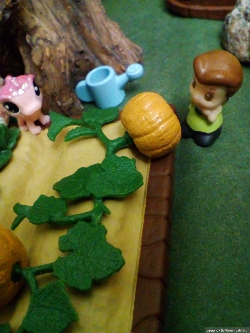 Сказки Соланж. Кактус: история любви. Сахара и поездка к вопопадам