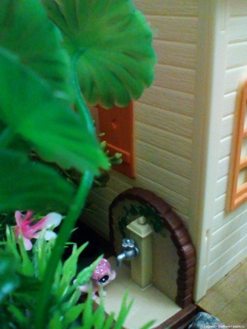 Сказки Соланж. Кактус: история любви. Сахара и поездка к вопопадам