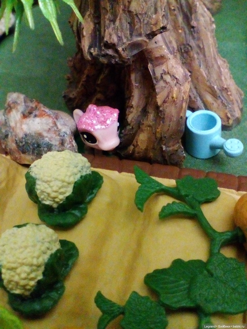 Сказки Соланж. Кактус: история любви. Сахара и поездка к вопопадам