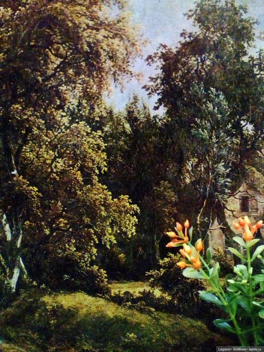 Сказки Соланж. Кактус: история любви. Сахара и поездка к вопопадам