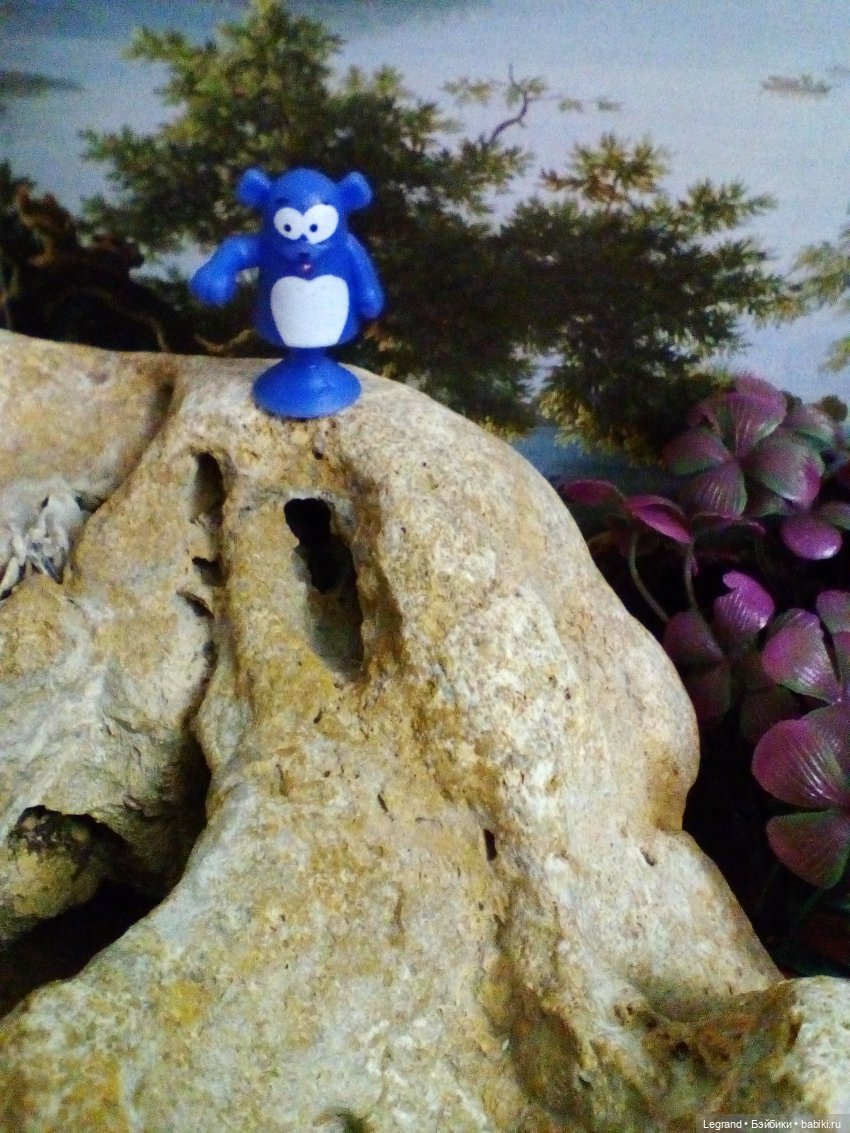 Сказки Соланж. Кактус: история любви. Сахара и поездка к вопопадам