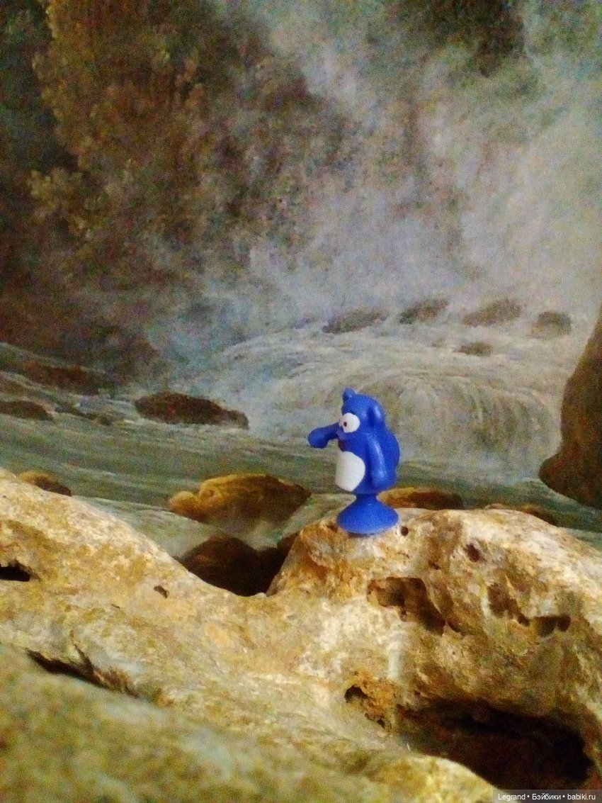 Сказки Соланж. Кактус: история любви. Сахара и поездка к вопопадам