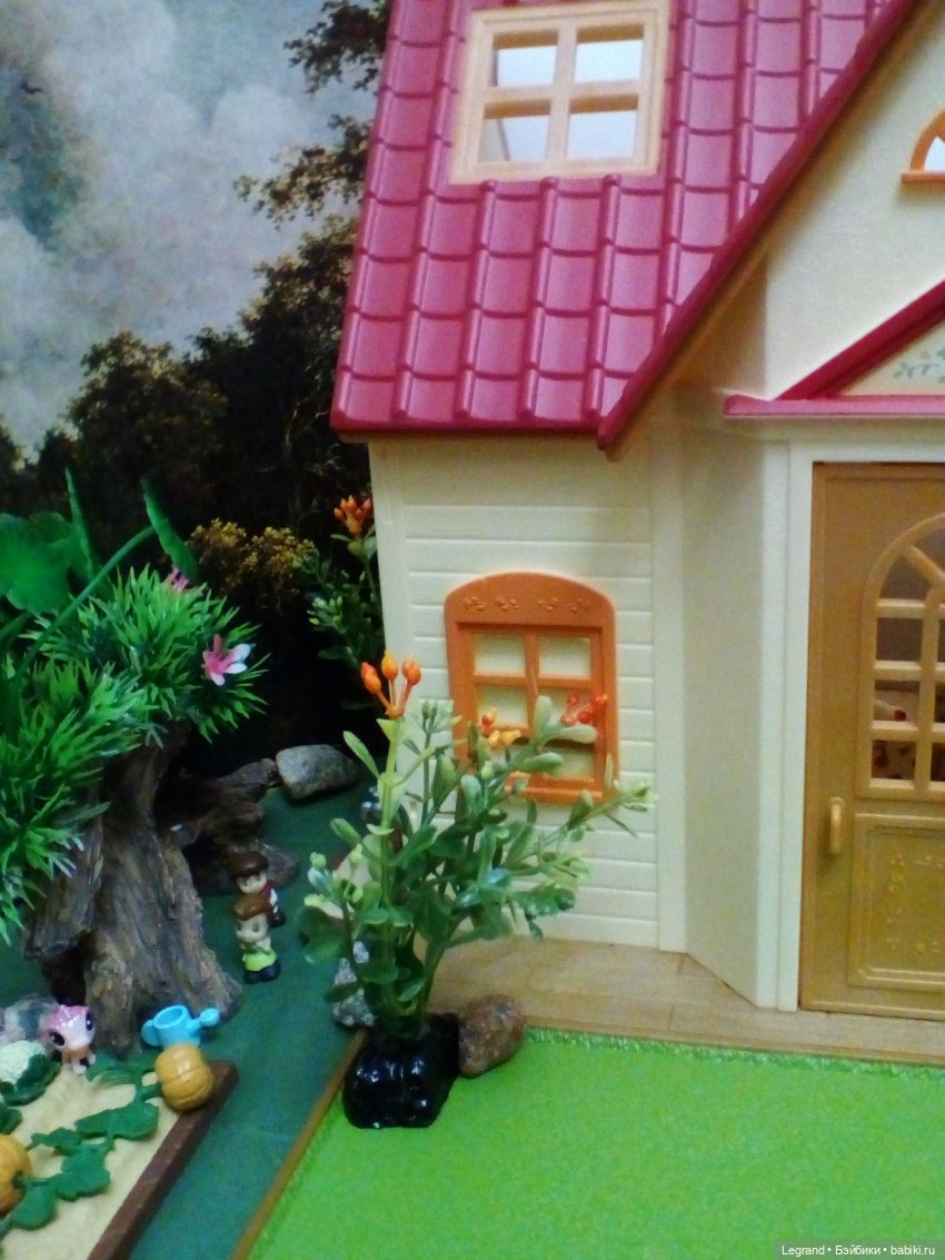 Сказки Соланж. Кактус: история любви. Сахара и поездка к вопопадам