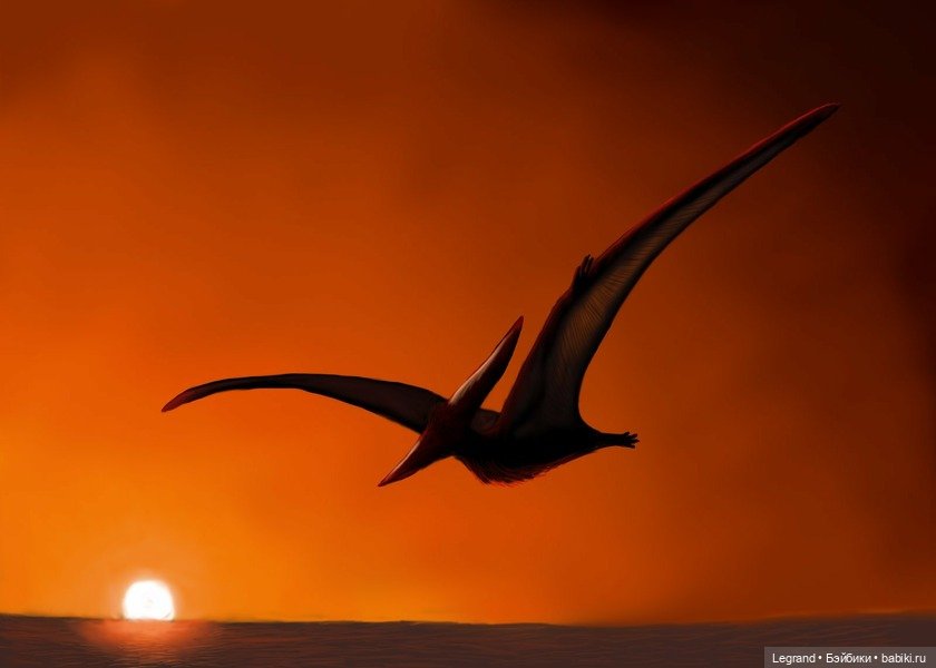 Сказки Соланж. Кактус: история любви. Сахара и поездка к вопопадам