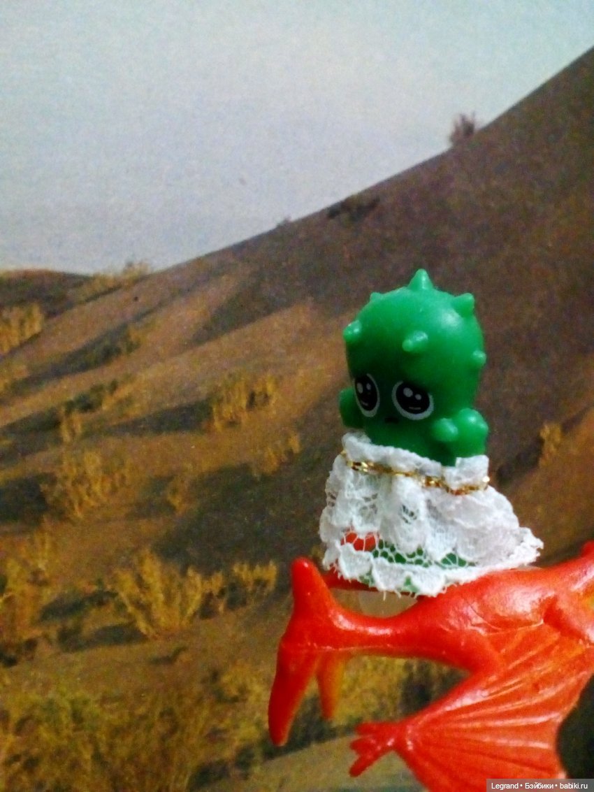 Сказки Соланж. Кактус: история любви. Сахара и поездка к вопопадам