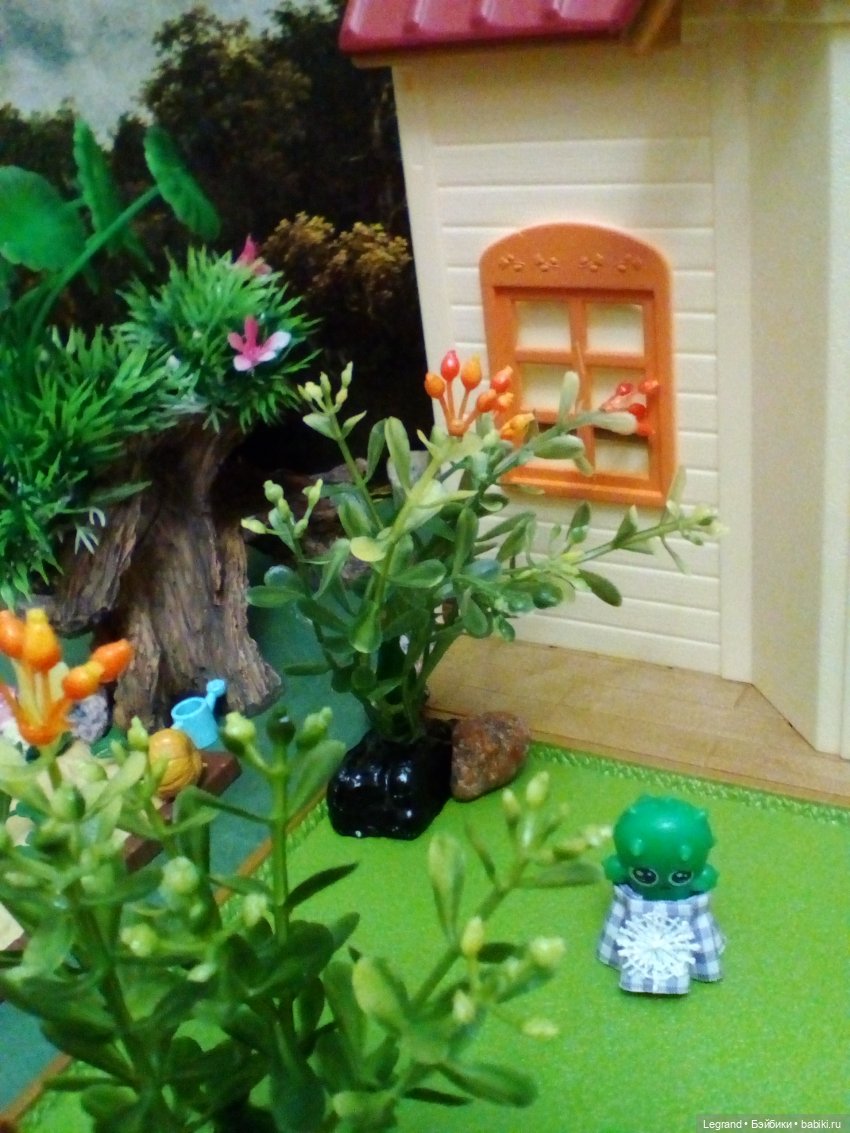 Сказки Соланж. Кактус: история любви. Сахара и Бамбу гостят у лесных друзей