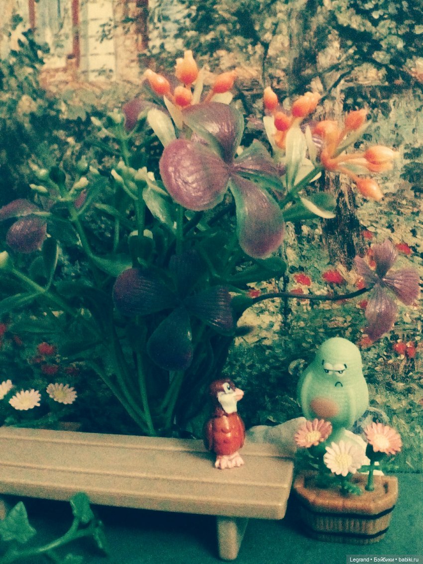 Сказки Соланж. Кактус: история любви. В ожидании Сахары. Генеральная уборка в отеле