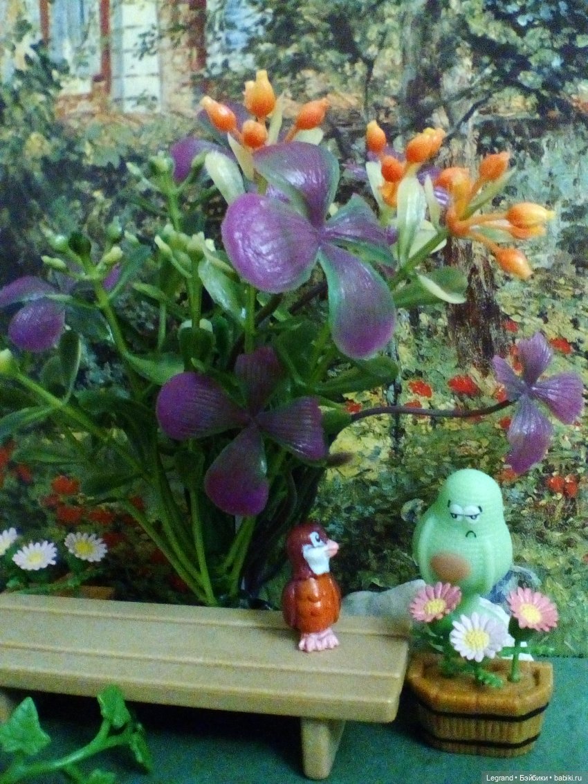 Сказки Соланж. Кактус: история любви. В ожидании Сахары. Генеральная уборка в отеле