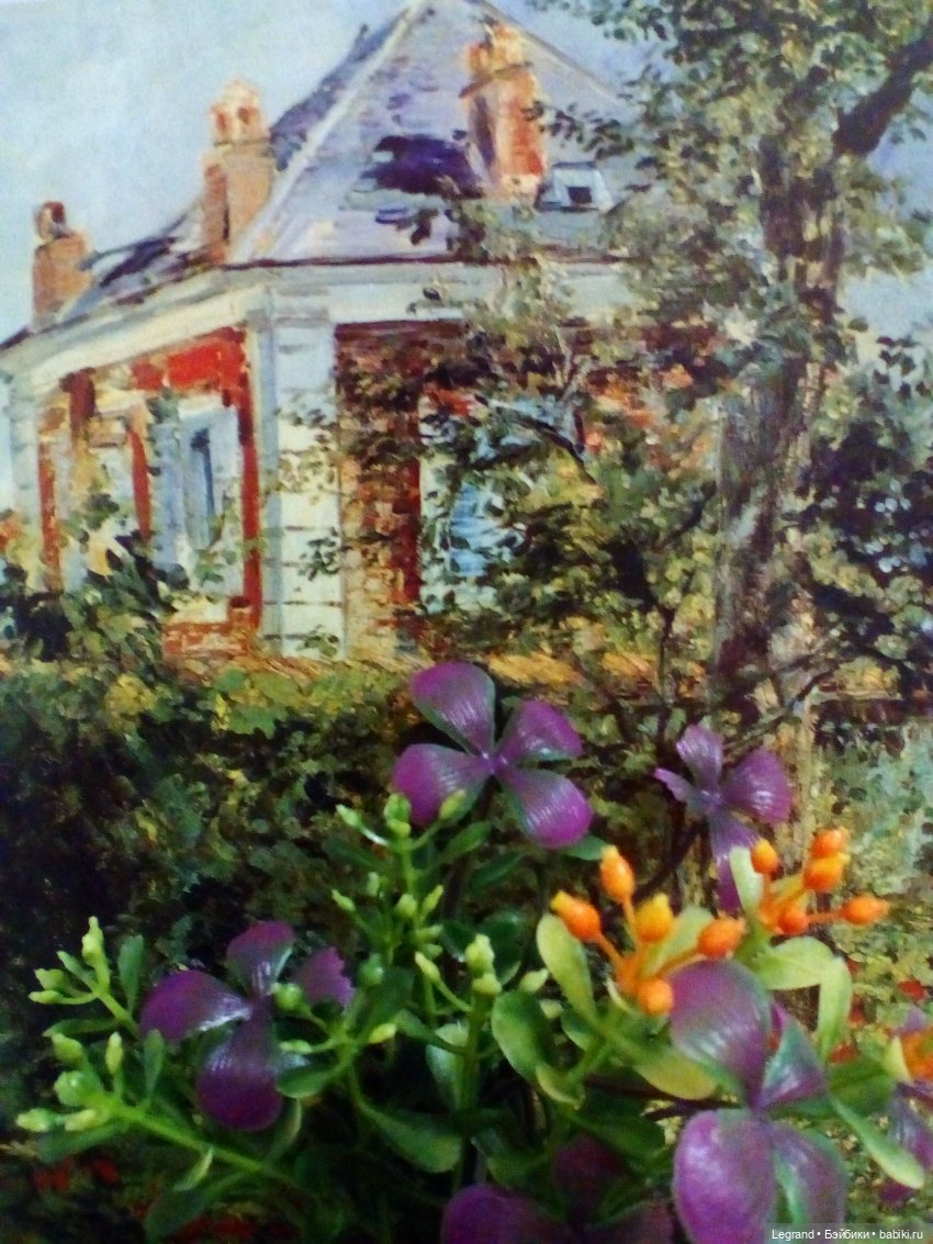 Сказки Соланж. Кактус: история любви. Сахара и Бамбу гостят у лесных друзей