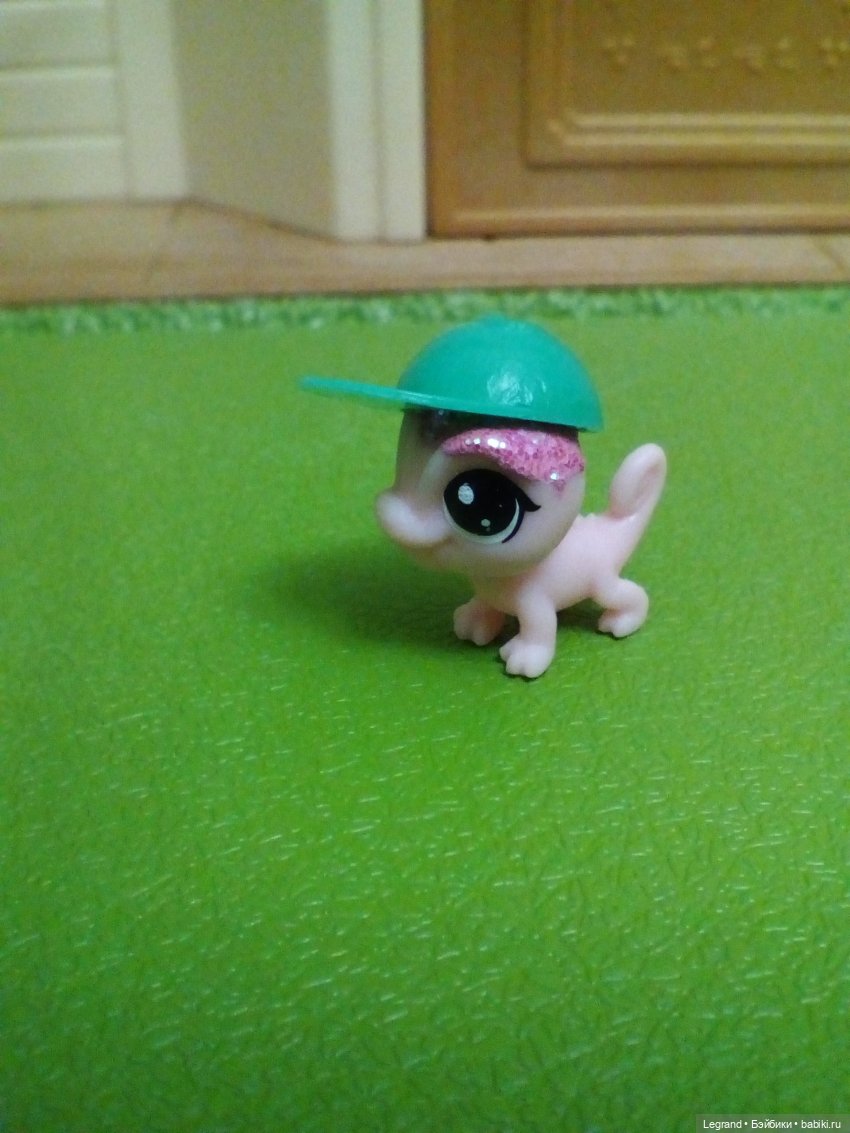 Сказки Соланж. Кактус: история любви. Маленький, наглый и в кепке (фото 4)