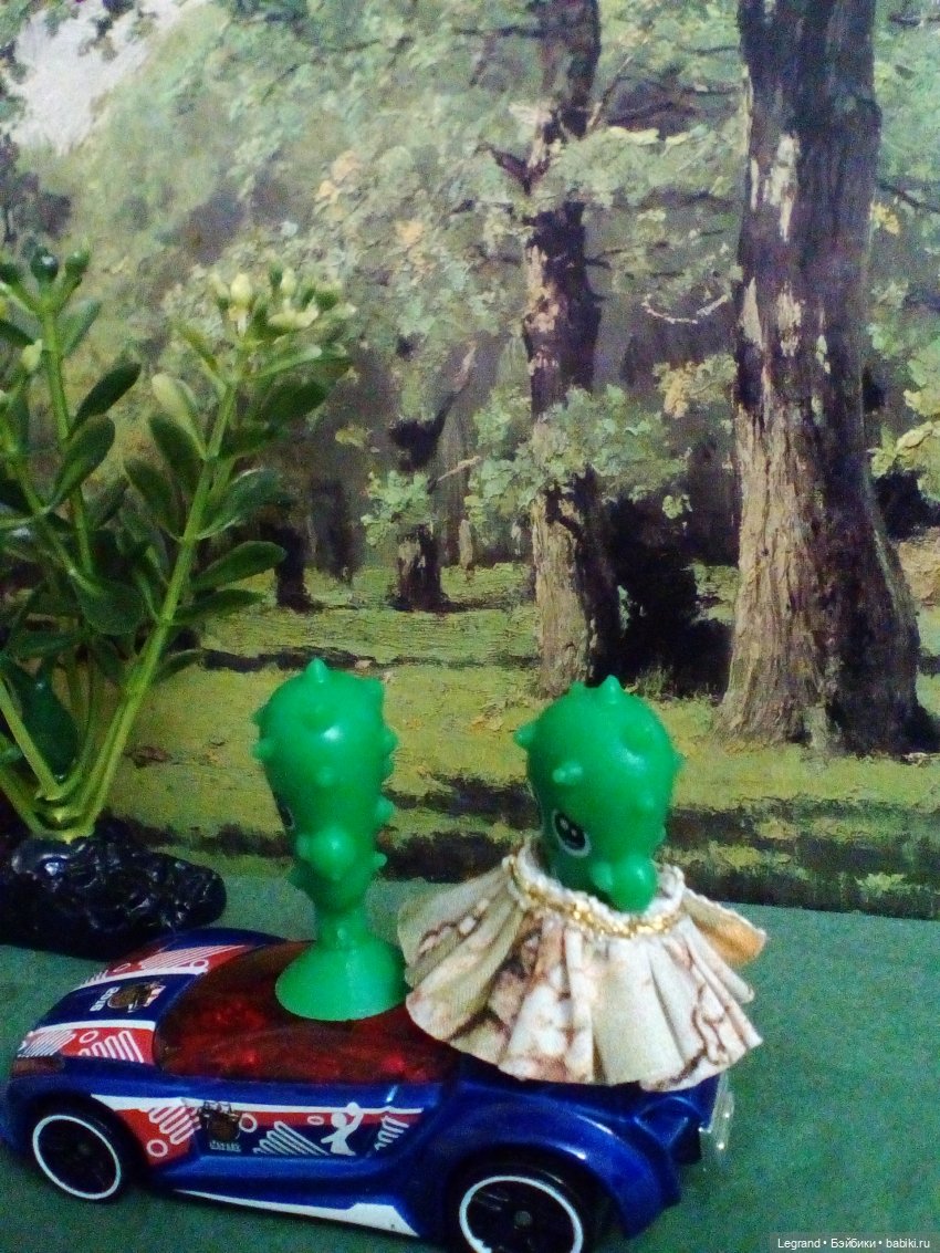 Сказки Соланж. Кактус: история любви. Сахара и Бамбу гостят у лесных друзей