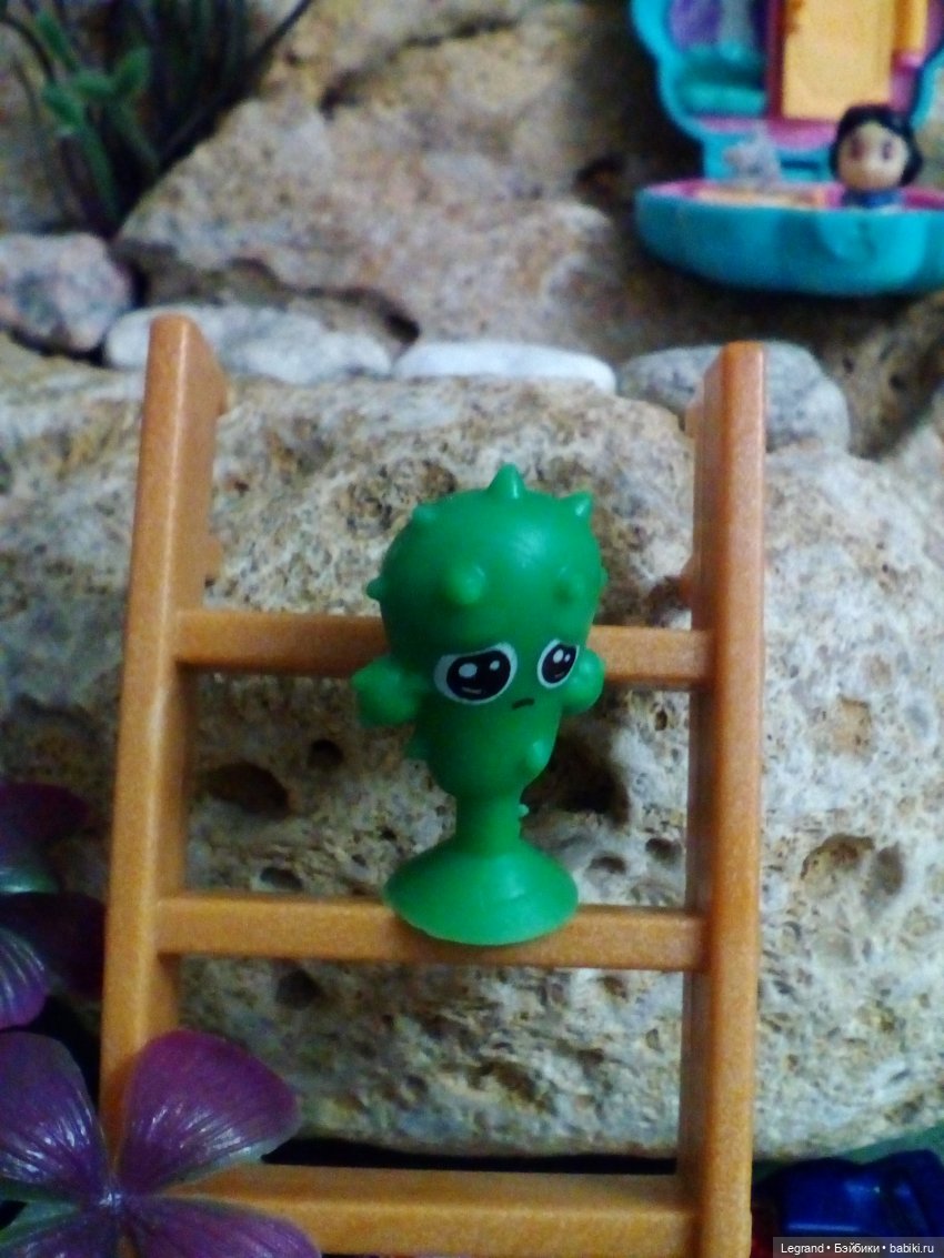 Сказки Соланж. Кактус: история любви. Подготовка к свадьбе