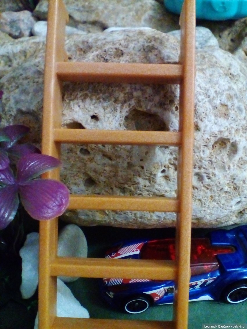 Сказки Соланж. Кактус: история любви. Подготовка к свадьбе