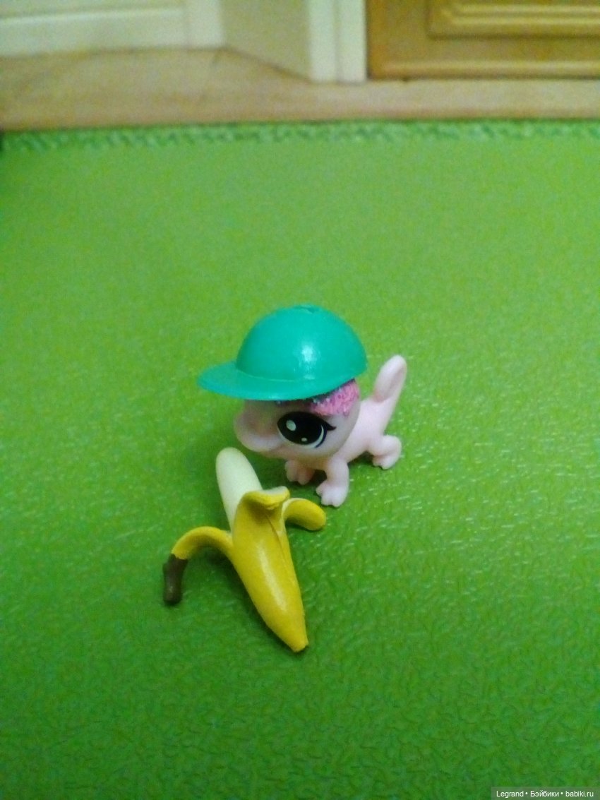 Сказки Соланж. Кактус: история любви. Маленький, наглый и в кепке