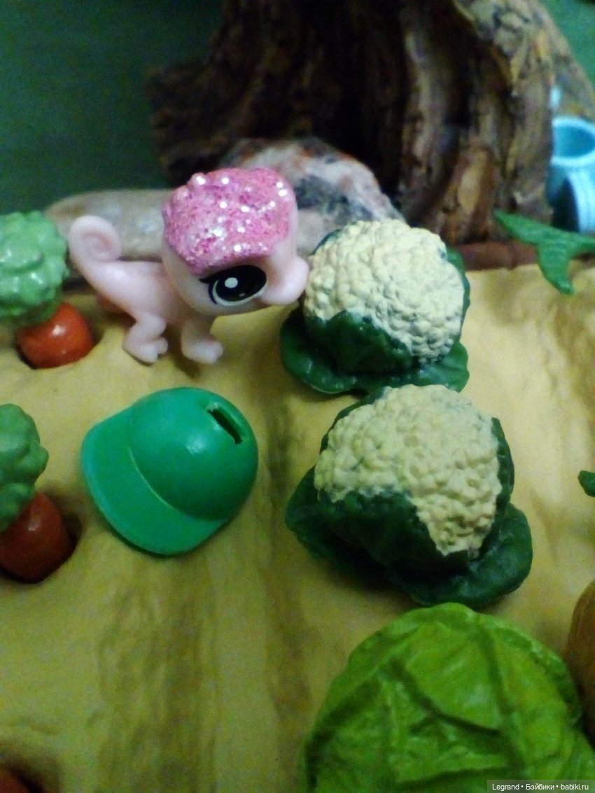 Сказки Соланж. Кактус: история любви. Маленький, наглый и в кепке (фото 3)